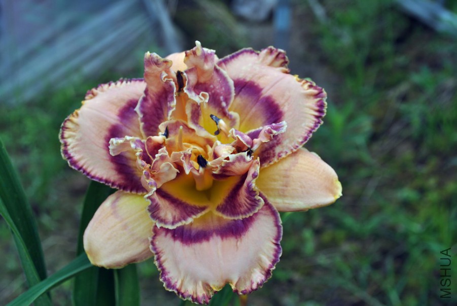 F1��1055ˮƿ��1 (1).jpg