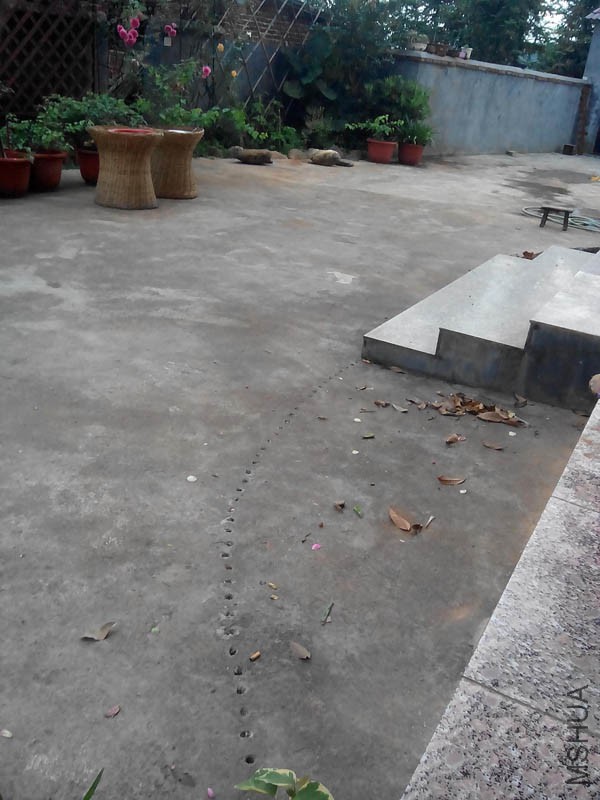 ��������