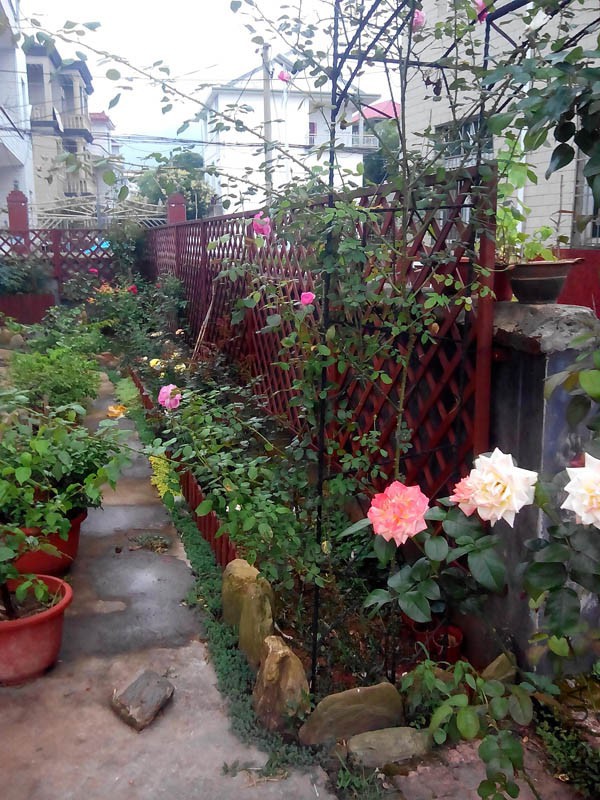 ����ĵڶ�������