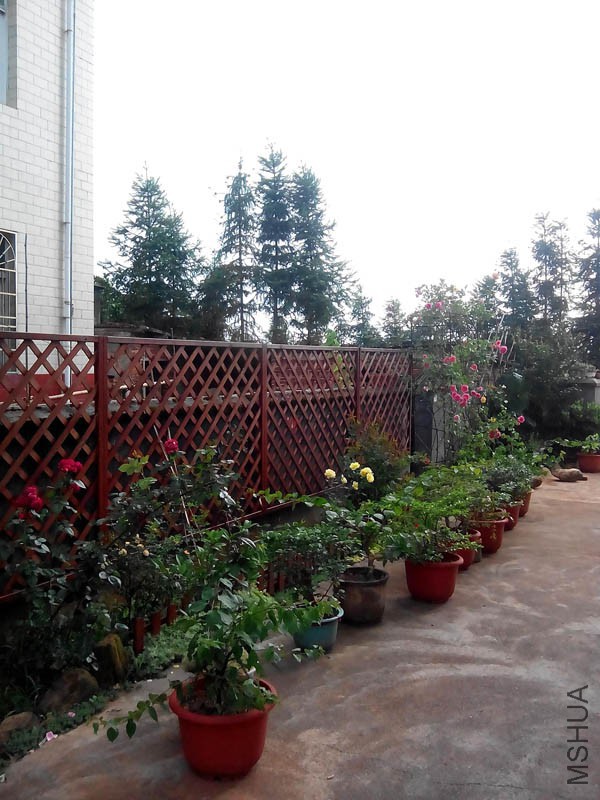 ���ײ����֣��о��������Աȴ����������ࡣ