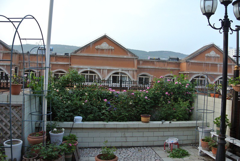 DSC_2355.JPG