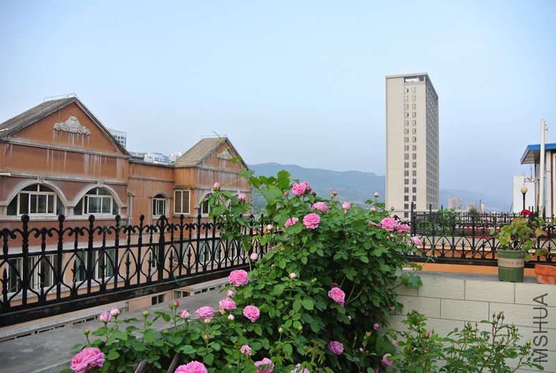 DSC_2318.JPG