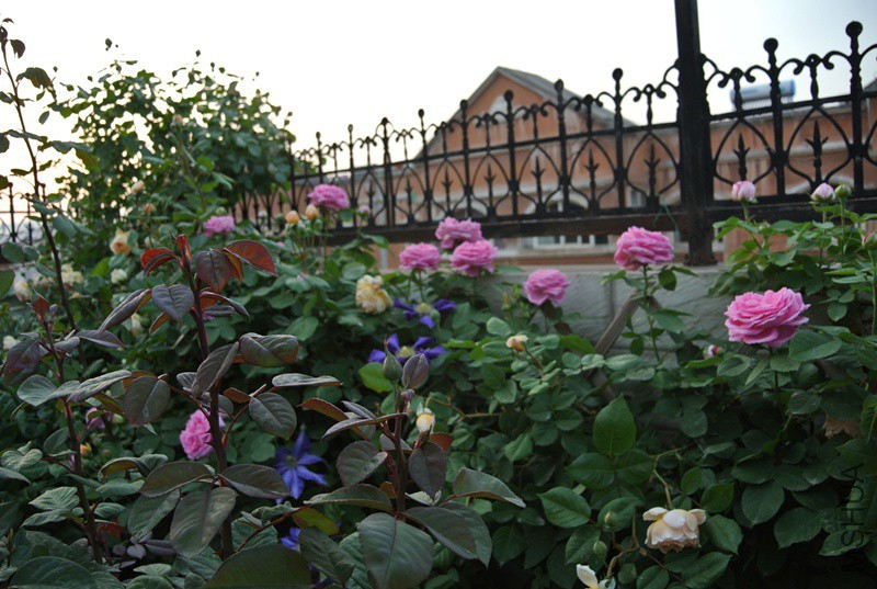 DSC_2333.JPG