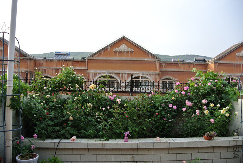 DSC_2562.JPG