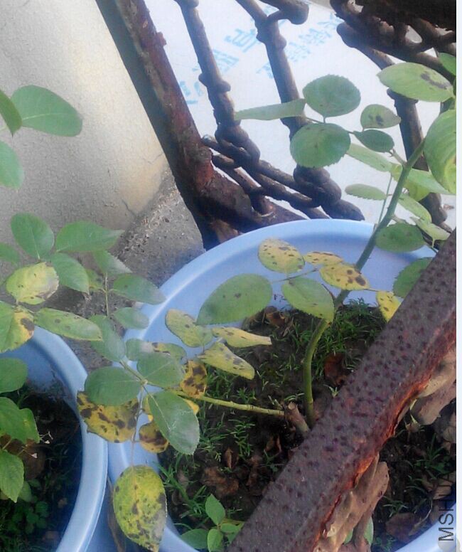 QQͼƬ20160613193433.jpg