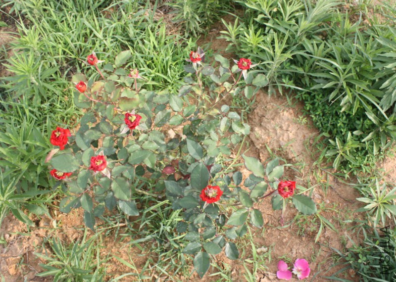 QQ�?��20160613223031.jpg