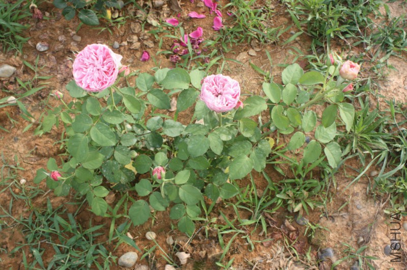 QQ�?��20160613222915.jpg