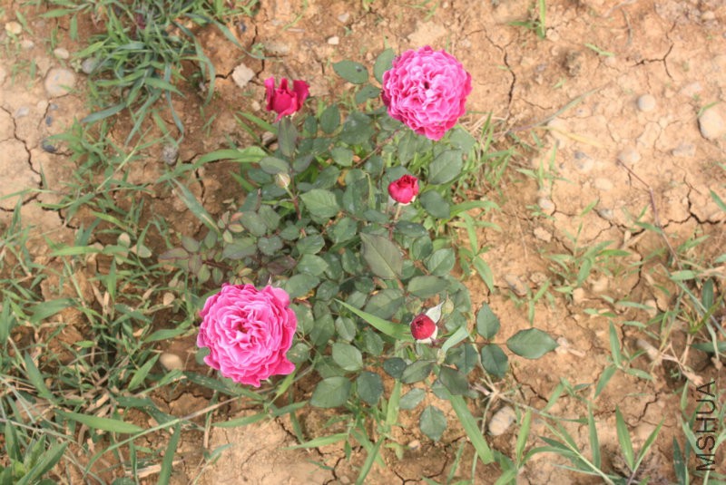 QQ�?��20160613222946.jpg