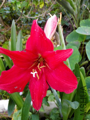 IMG_20160601_060041_����.jpg