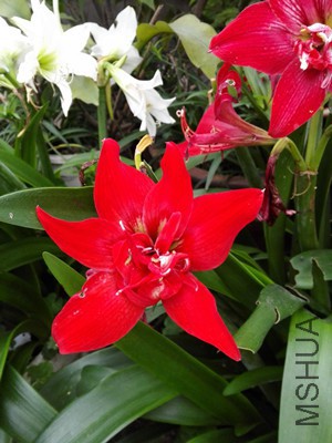 IMG_20160429_062732_����.jpg
