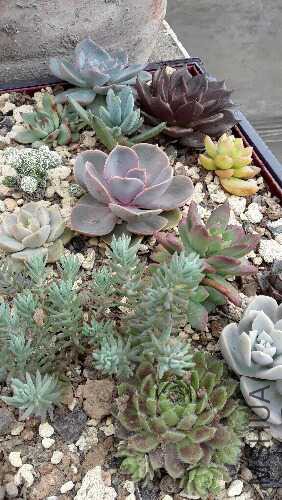 20160615_102559.jpg