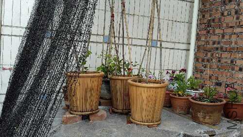 20160615_104414.jpg