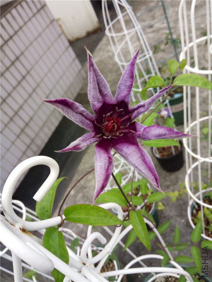 IMG20160612115915.jpg