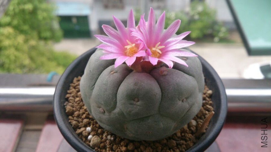 QQͼƬ20160615145940.jpg
