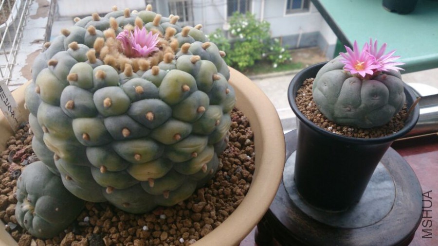 QQͼƬ20160615150000.jpg
