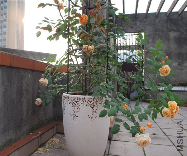 P1010359.jpg