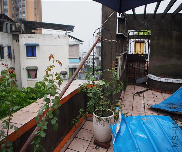 P1010370.jpg