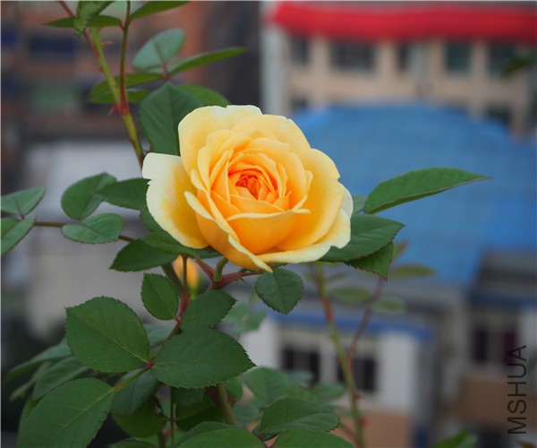 P1010418.jpg