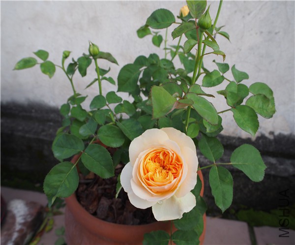 P1010422.jpg