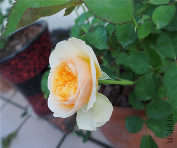 P1010423.jpg