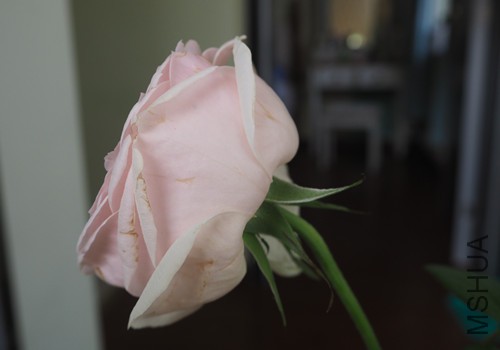 �Ѿ�����4����