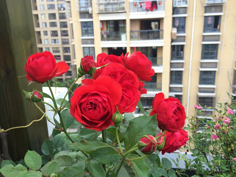 IMG_4096.JPG