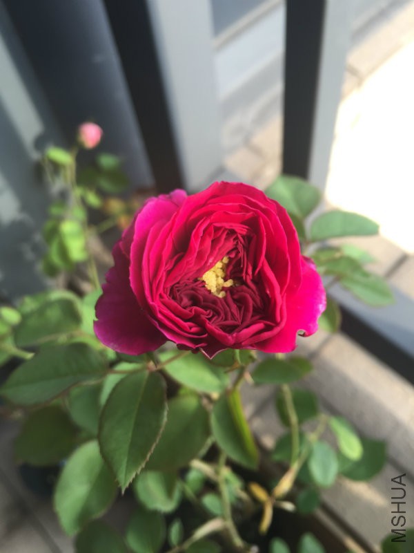 ˫�˰���