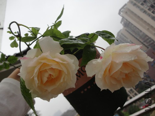 �����ǵ�һ�ο�����Ե�ʣ��ܲ���׼