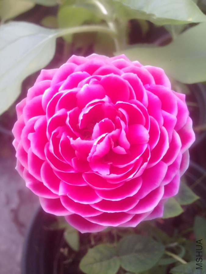 QQͼƬ20160617104230.jpg