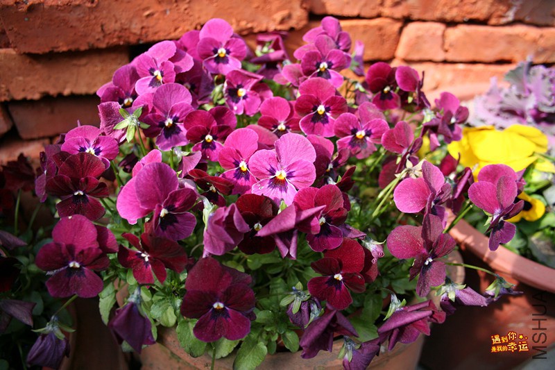 ��Ƭ 030_����.jpg