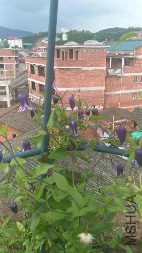 IMG20160611161051.jpg