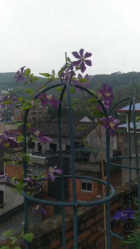 IMG20160509173103.jpg