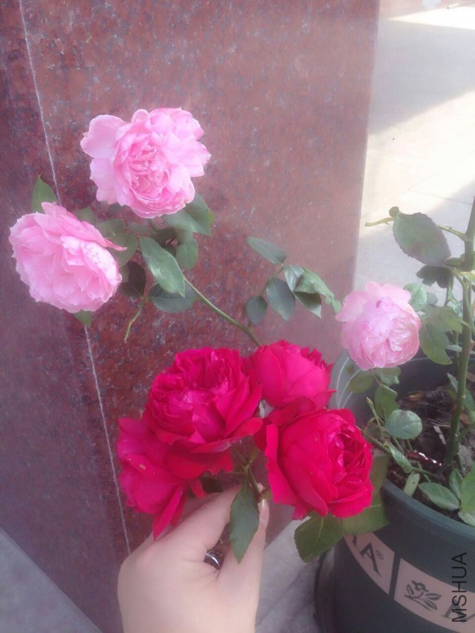 QQͼƬ20160618101913.jpg