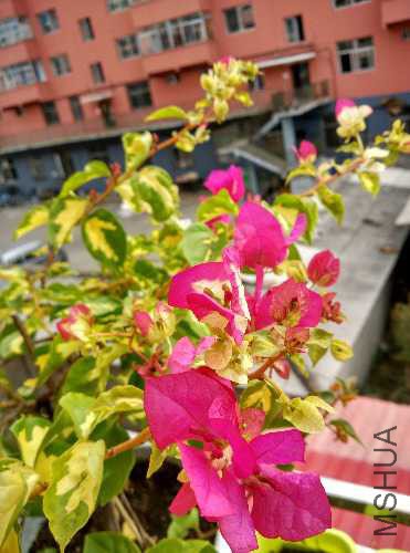 IMG_20150924_120629_HDR.jpg