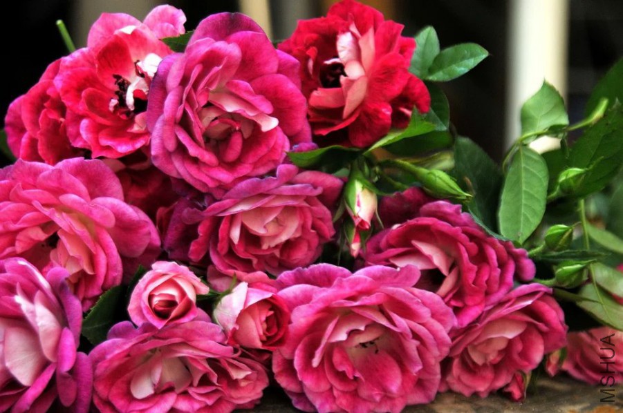 psb (19).jpg