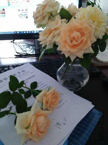 IMG20160619103509.jpg