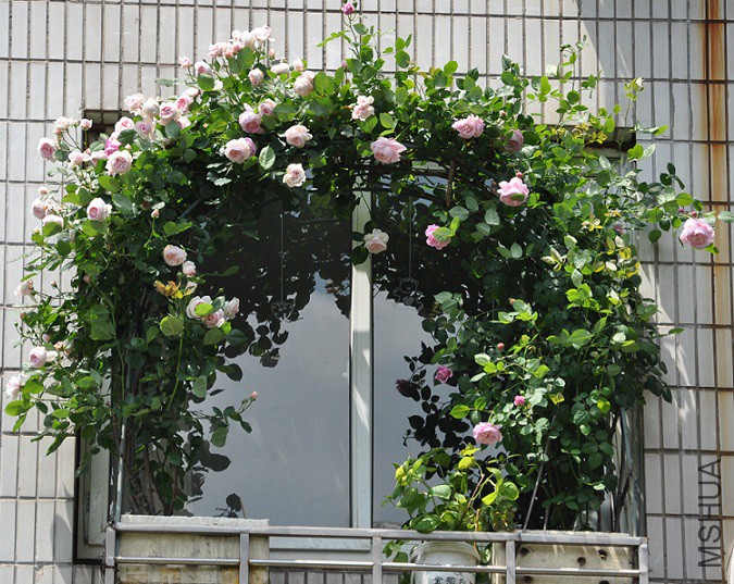 DSC_0301.jpg