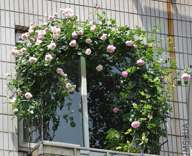 DSC_0329.jpg