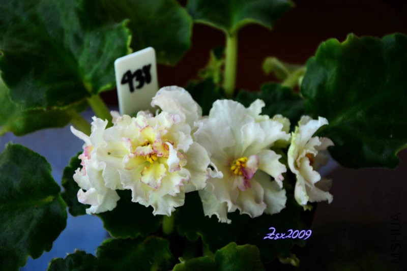 DSC_8153.jpg