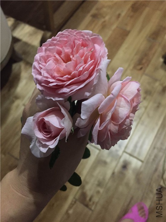 QQͼƬ20160615172147.jpg