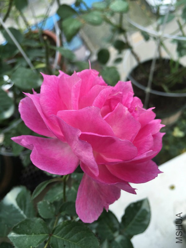 6903b755gw1f51tcfp36ej22c03404qq.jpg