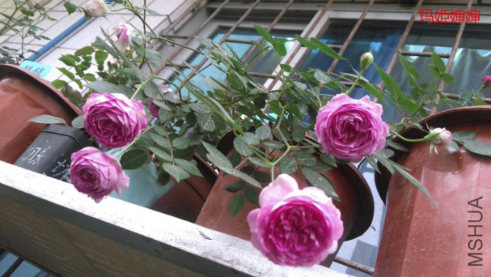 IMG_20150312_174508_700x395.jpg