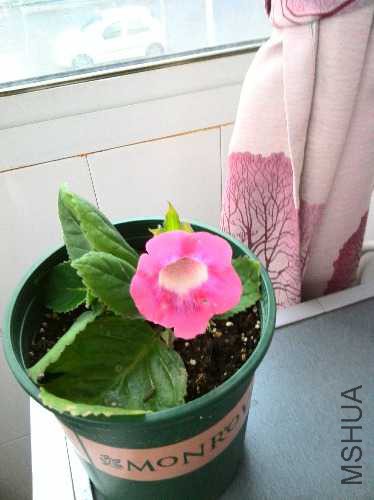 YP20160621162338719.jpeg