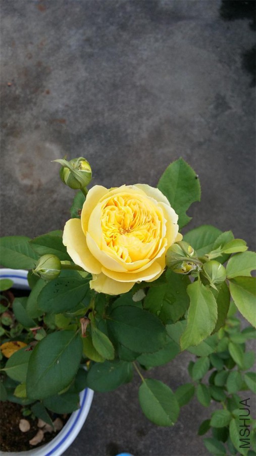 20160622_064606.jpg