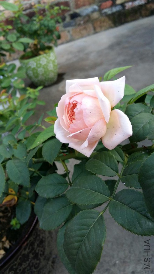 20160622_064811.jpg