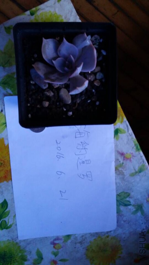 QQͼƬ20160622085251.jpg