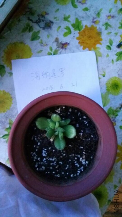 QQͼƬ20160622085359.jpg