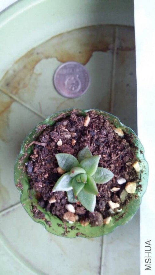 QQͼƬ20160622085228.jpg
