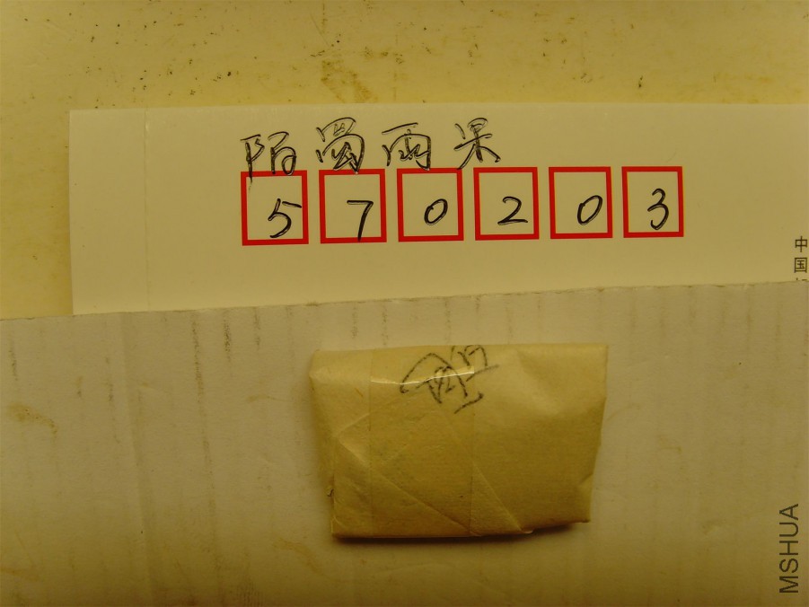 SNV31359.JPG