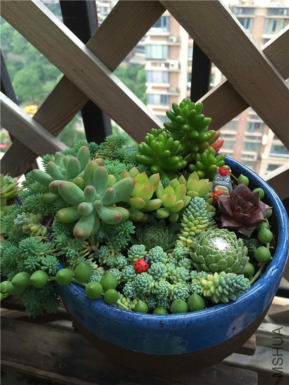 QQͼƬ20160622164442.jpg